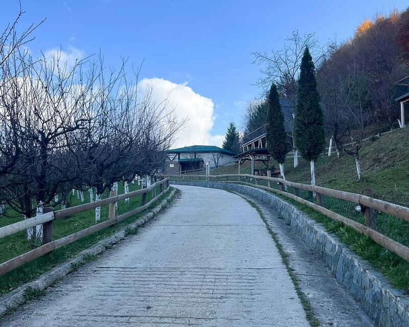 From Sarajevo: Visoko Pyramids, Plantations & Horse Riding - Key Points