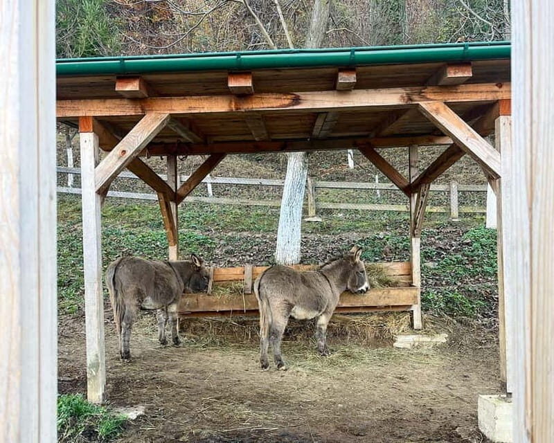 From Sarajevo: Visoko Pyramids, Plantations & Horse Riding - A Walk Through the Pyramids and Underground Tunnels