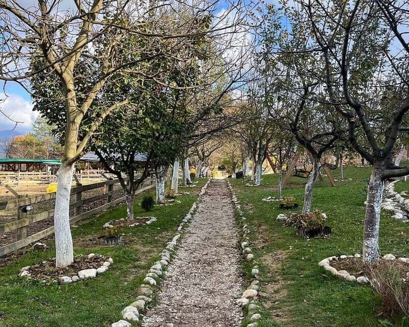 From Sarajevo: Visoko Pyramids, Plantations & Horse Riding - Farm Life at Malak Farm: A Taste of Authentic Bosnia