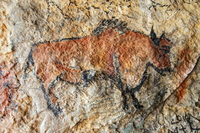 from-sarlat-half-day-skip-the-line-lascaux-iv-tour