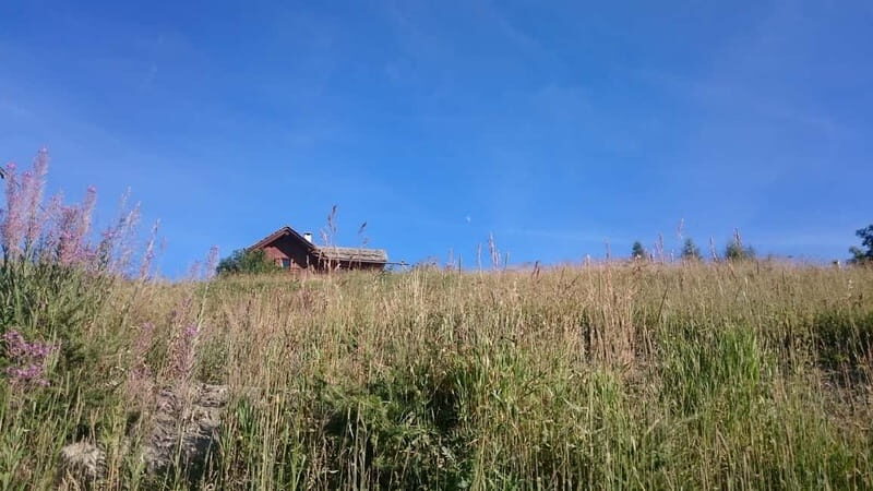 From Sauze d'Oulx to Capanna Mollino: Alpine architecture - Discovering the High-Altitude Marvels