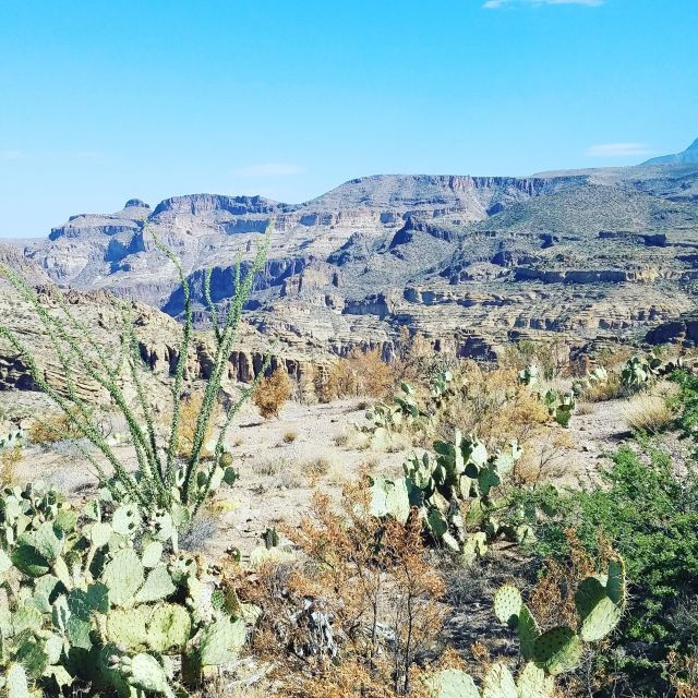 from-scottsdale-phoenix-apache-trail-day-tour
