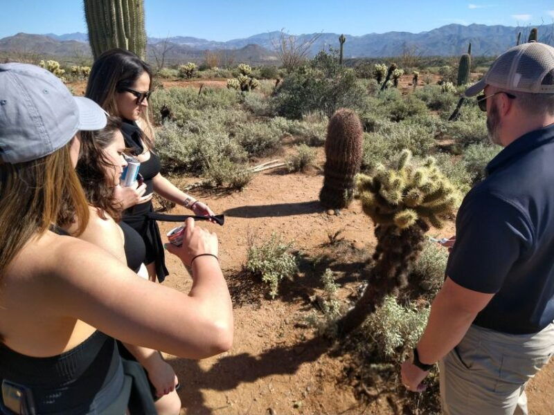 from-scottsdale-sonoran-desert-tonto-national-forest-trip