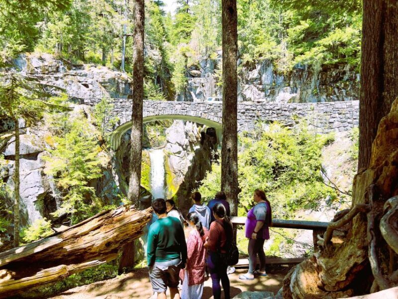 From Seattle: Customized Mount Rainier Tour - An In-Depth Look at the Tour Experience