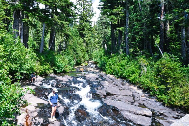 From Seattle: Customized Mount Rainier Tour - Who Will Enjoy This Tour Most?