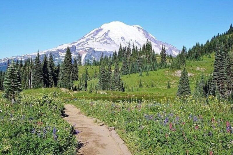 from-seattle-full-day-mt-rainier-national-park-tour