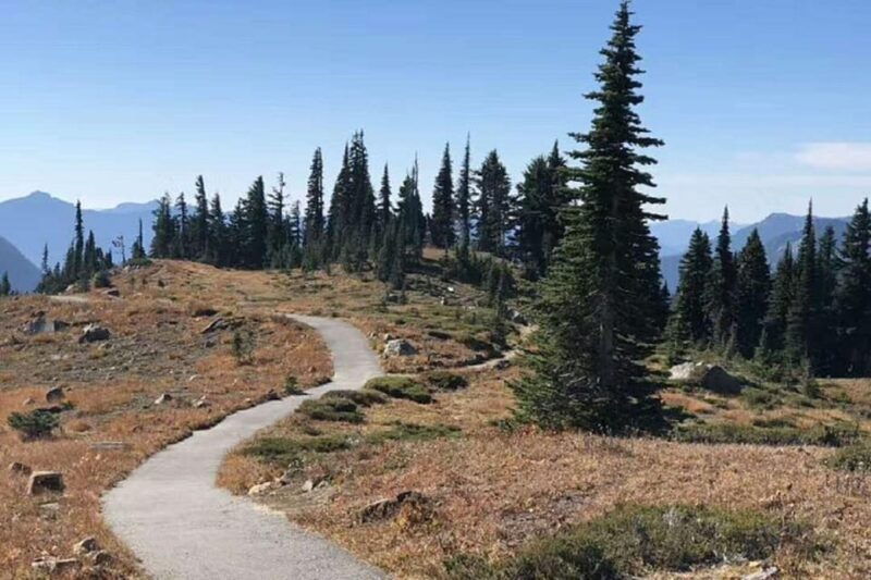 from-seattle-mount-rainier-national-park-1-day-tour