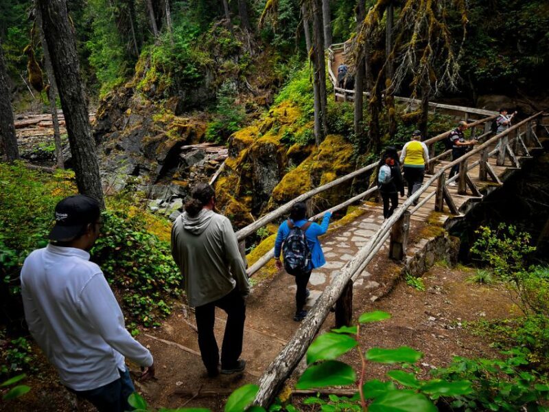 From Seattle: Mount Rainier National Park Guided Tour - The Itinerary: What to Expect on Your Day Trip
