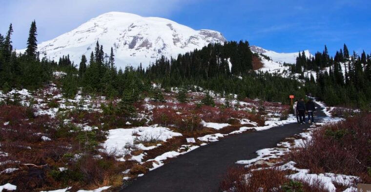 from-seattle-mount-rainier-national-park-guided-tour