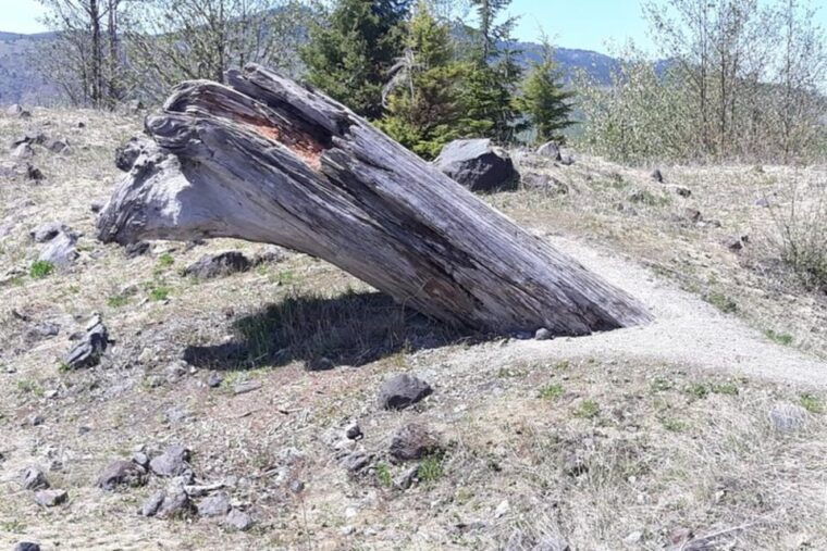 from-seattle-mount-saint-helens-monument-private-day-trip
