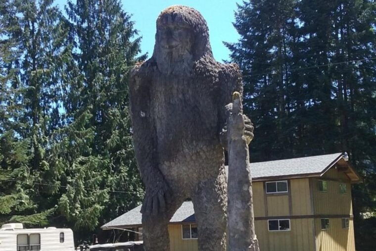 from-seattle-mount-saint-helens-monument-private-day-trip