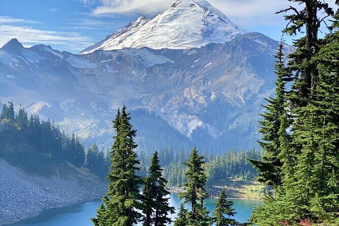 From Seattle - Private Mt Baker and Cascades Tour in SUV - What Travelers Love About This Tour