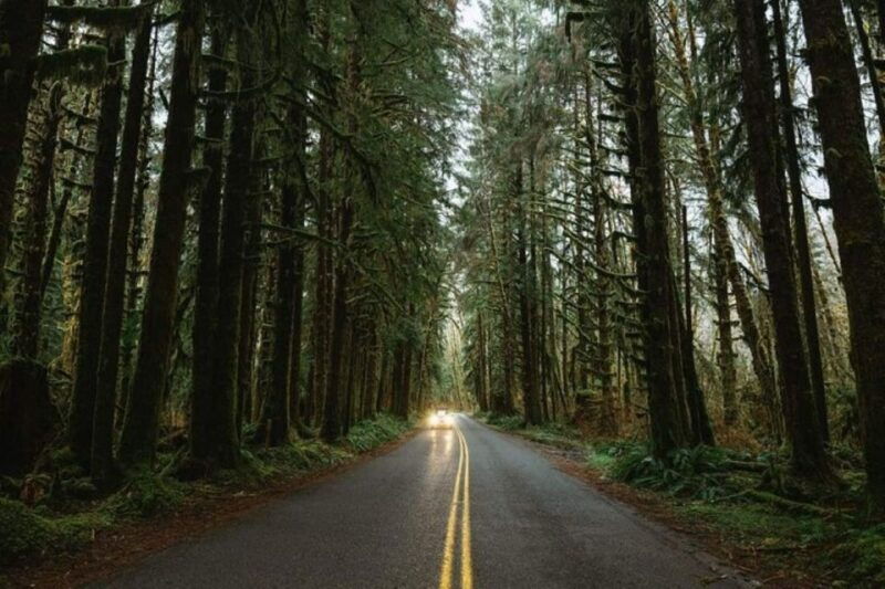 from-seattle-twilight-forks-washington-tour