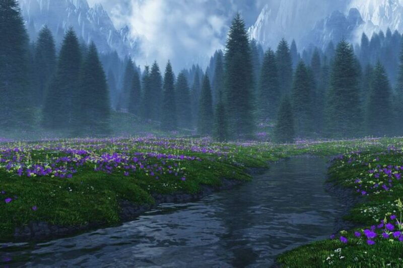 from-seattle-twilight-forks-washington-tour
