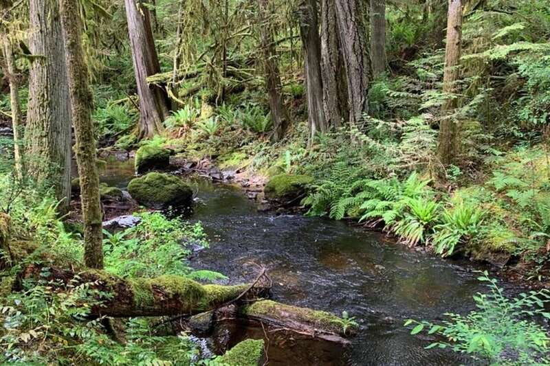 from-sechelt-or-langdale-sunshine-coast-tour-and-hike