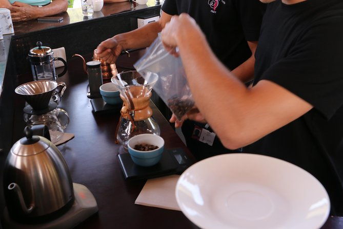 from-seed-to-cup-coffee-experience-at-la-palma-y-el-tucan