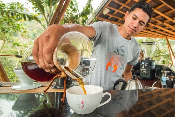 from-seed-to-cup-coffee-experience-at-la-palma-y-el-tucan