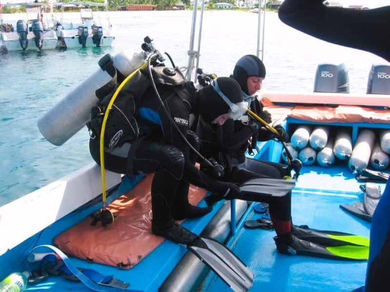 From Semporna: 3-Dive Leisure Underwater Diving Explorations - Final Thoughts