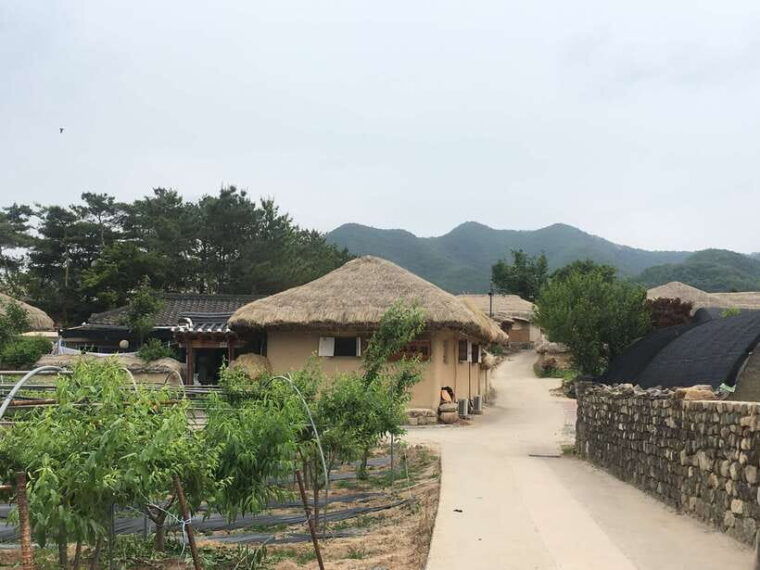 from-seoul-andong-unesco-sites-folk-village-private-tour