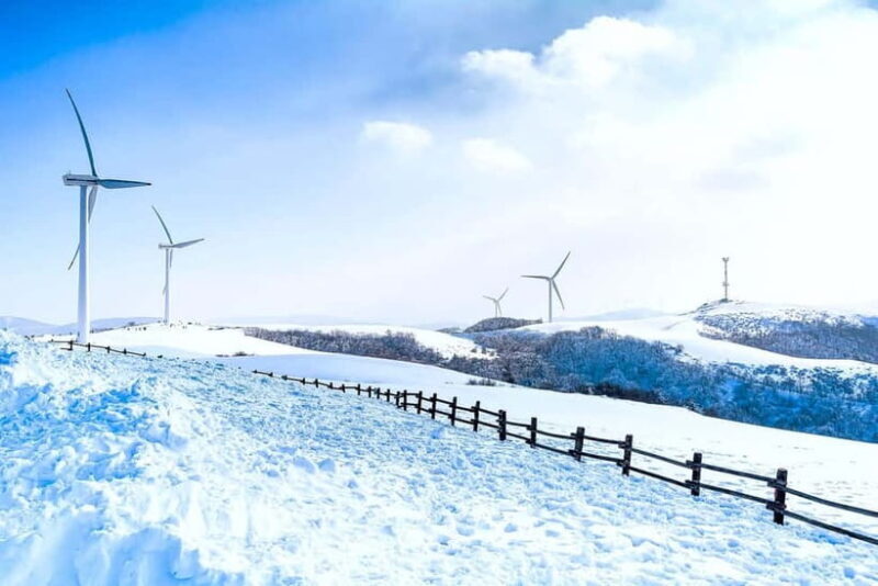 From Seoul: Balwangsan Cable Car and Daegwallyeong Ranch - Discovering the Scenic Heart of Gangwon Province