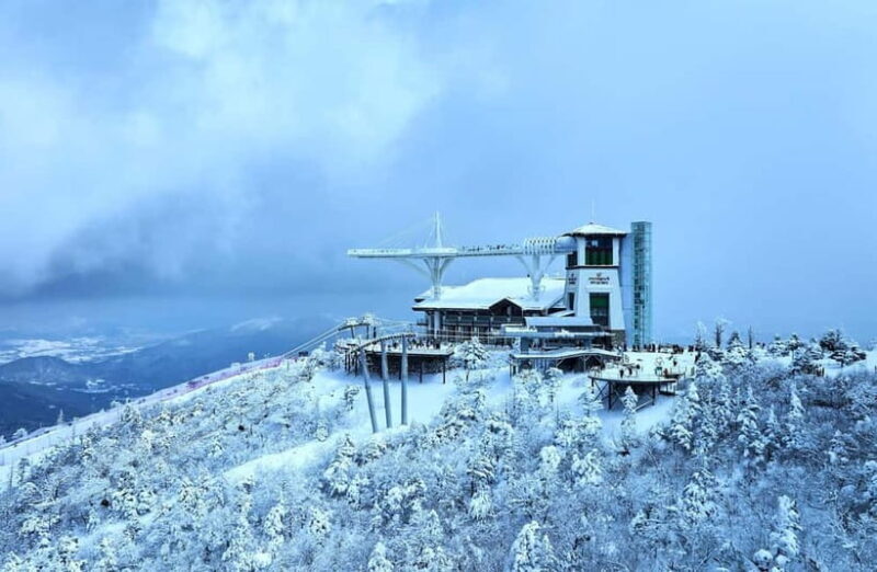 From Seoul: Balwangsan Cable Car and Daegwallyeong Ranch - FAQ