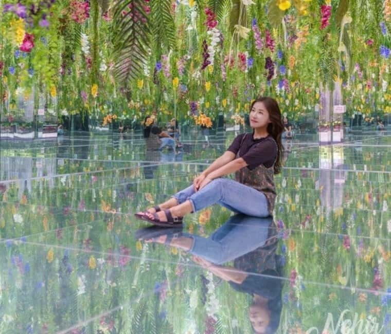 From Seoul: Begonia Bird Park, Rail Bike and Garden Tour - Practical Details and What to Expect