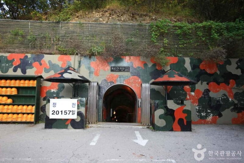 From Seoul: Cheorwon DMZ & 2nd Tunnel One Day Tour - The Practicalities: What to Expect and What to Bring