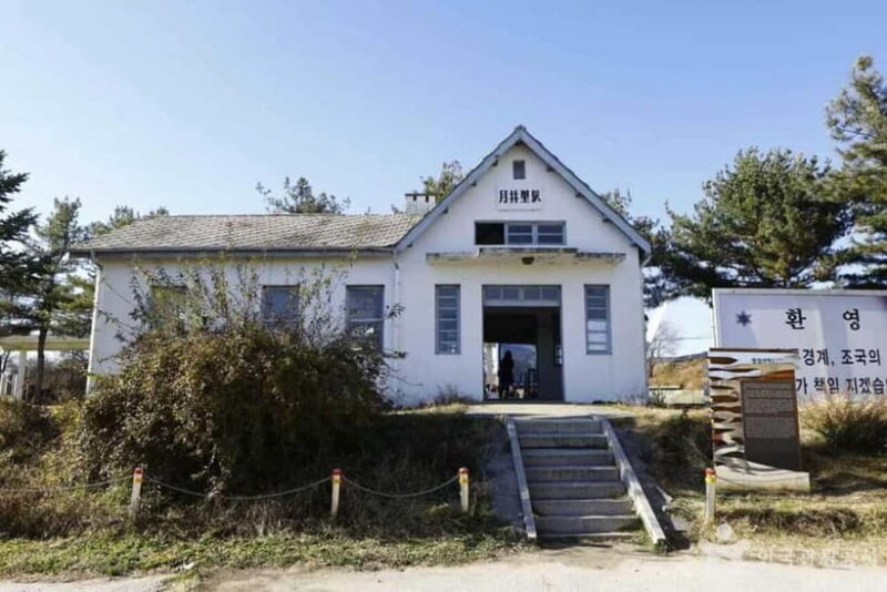 From Seoul: Cheorwon DMZ & 2nd Tunnel One Day Tour - Authentic Insights from Past Travelers