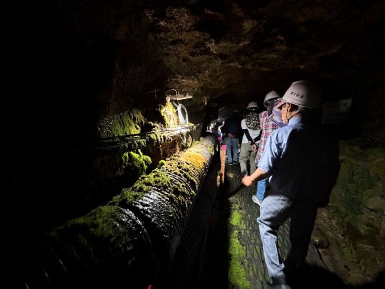 from-seoul-cheorwon-dmz-and-2nd-tunnel-tour-with-lunch