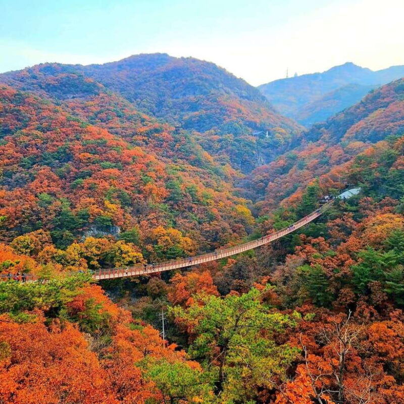 from-seoul-dmz-and-gamaksan-suspension-bridge-full-day-tour