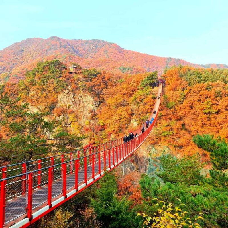 from-seoul-dmz-and-gamaksan-suspension-bridge-full-day-tour