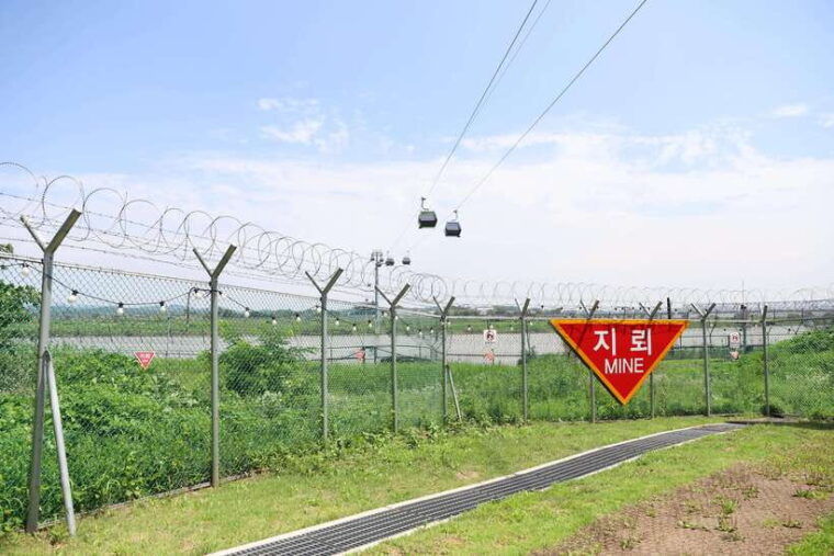 from-seoul-dmz-japanese-tour-optional-suspension-bridge