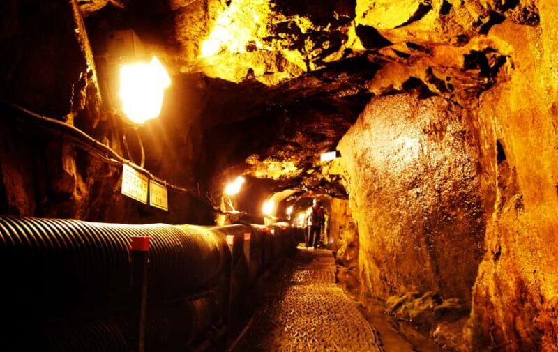 From Seoul: DMZ Tour & North Korean Defector Talk - Exploring the DMZ: An In-Depth Review