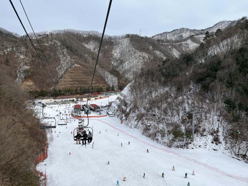 From Seoul: Elysian Ski Resort One Day Tour - Key Points