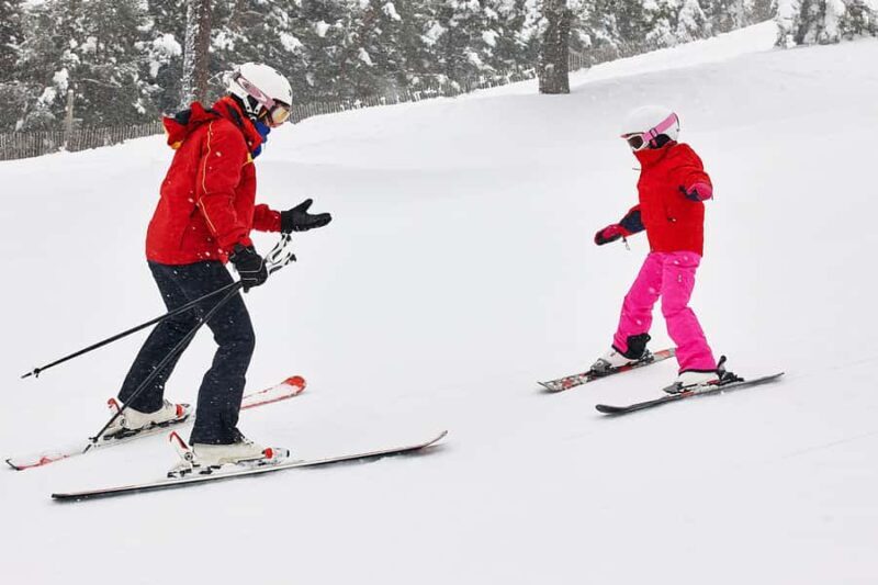 From Seoul: Elysian Ski Resort with Rental & Basic Lesson - Who Will Love This Tour?