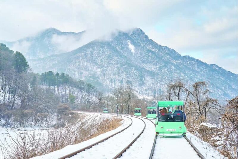 From Seoul: Eobi Ice Valley & Nami Island Day Trip - Key Points