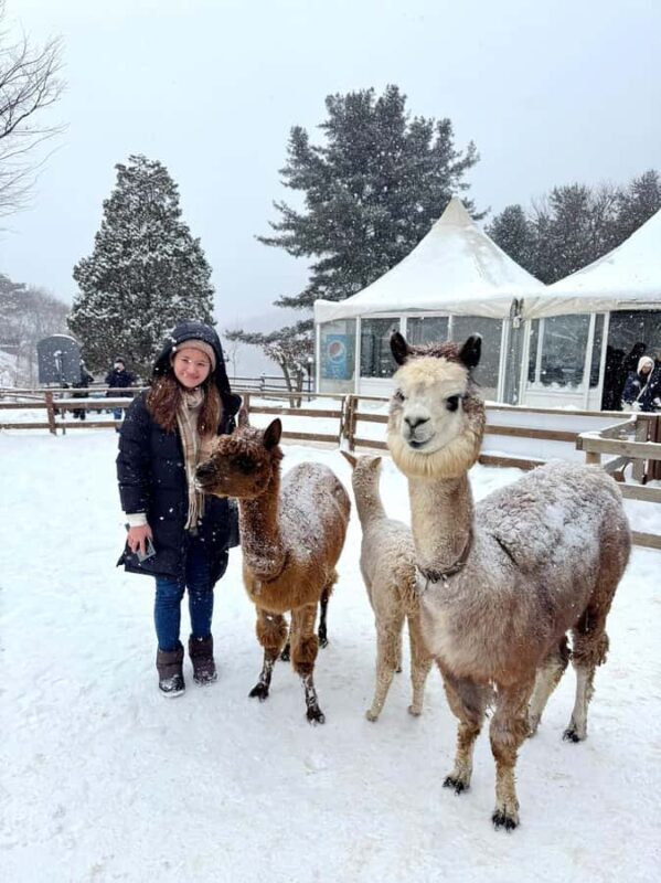 From Seoul: Eobi Ice Valley & Nami Island Day Trip - A Well-Organized Day from Start to Finish