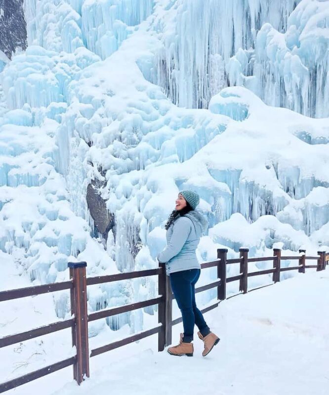 From Seoul: Eobi Ice Valley & Nami Island Day Trip - Final Thoughts