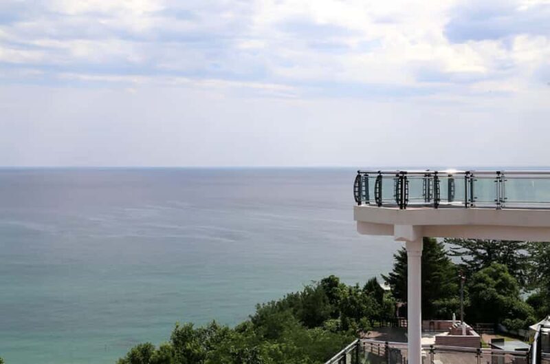 From Seoul: Full-Day Trip to Goseong DMZ & Kidult Museum - Key Points