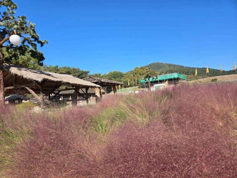 From Seoul: Gongju and Buyeo 2-Day Tour with Accommodation - Introduction: A Cultural Escape from Seoul