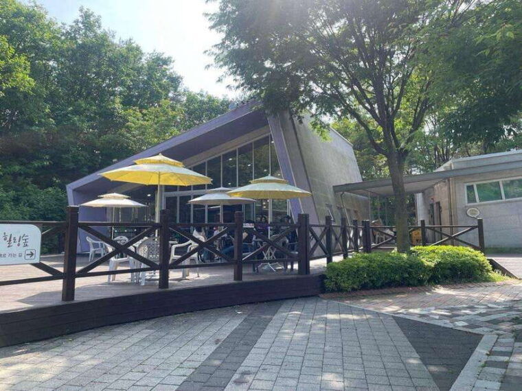 from-seoul-guided-day-trip-to-pocheon