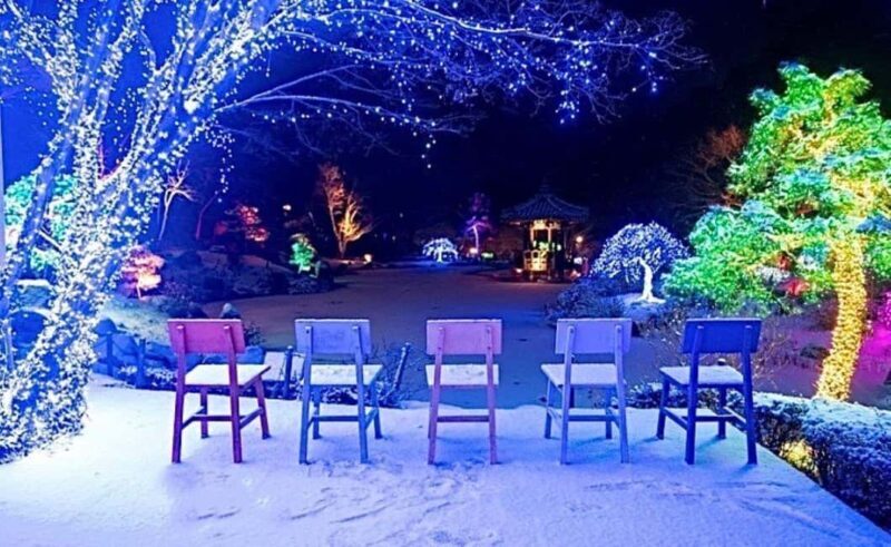 From Seoul: Hwacheon Ice Fishing and Lighting Festival Tour - An In-Depth Look at the Experience