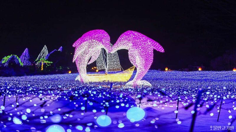From Seoul: Hwacheon Ice Fishing and Lighting Festival Tour - Final Thoughts
