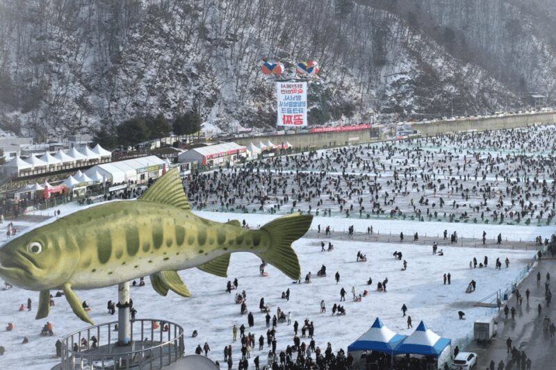 From Seoul: Hwacheon Ice Fishing and Lighting Festival Tour - Frequently Asked Questions