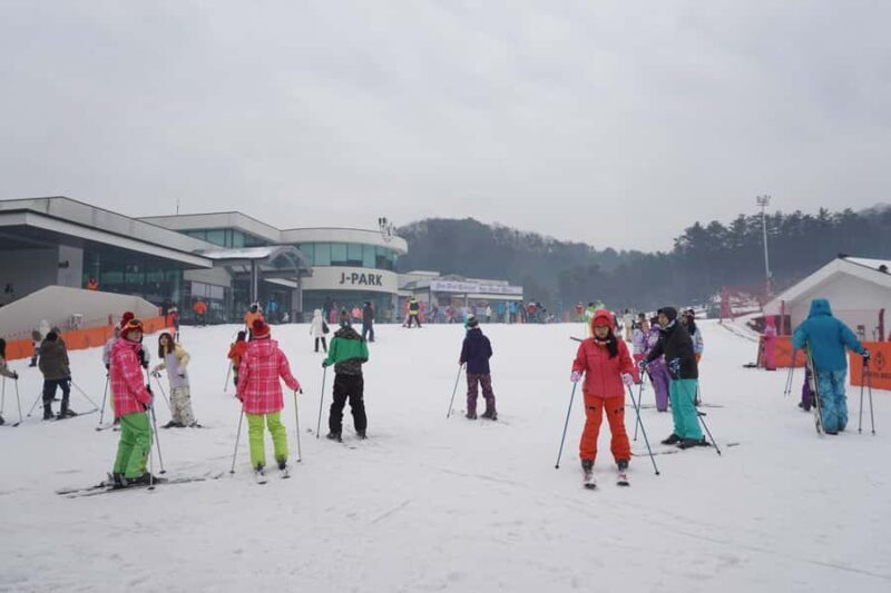 From Seoul: Jisan Forest Resort Ski Full-Day Tour or Shuttle - What Makes This Tour Stand Out