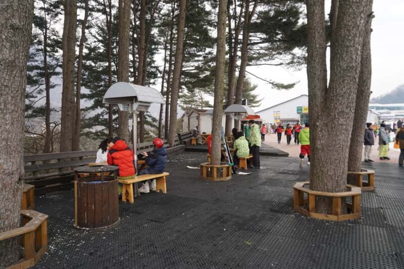 From Seoul: Jisan Forest Resort Ski Full-Day Tour or Shuttle - Real Experiences & Insights from Reviewers