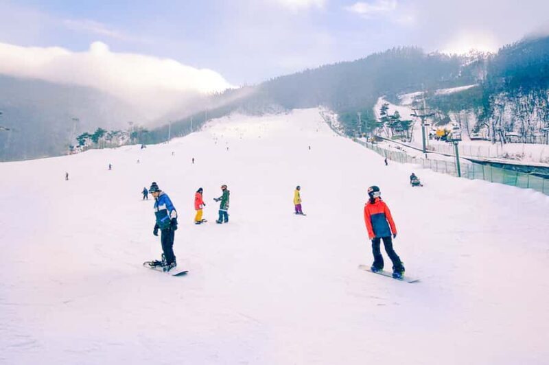 From Seoul: Jisan Forest Ski Resort One Day Tour - Final Thoughts