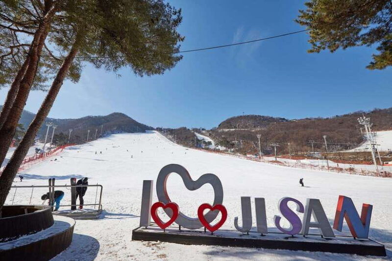 from-seoul-korea-ski-tour-jisan-forest-resort