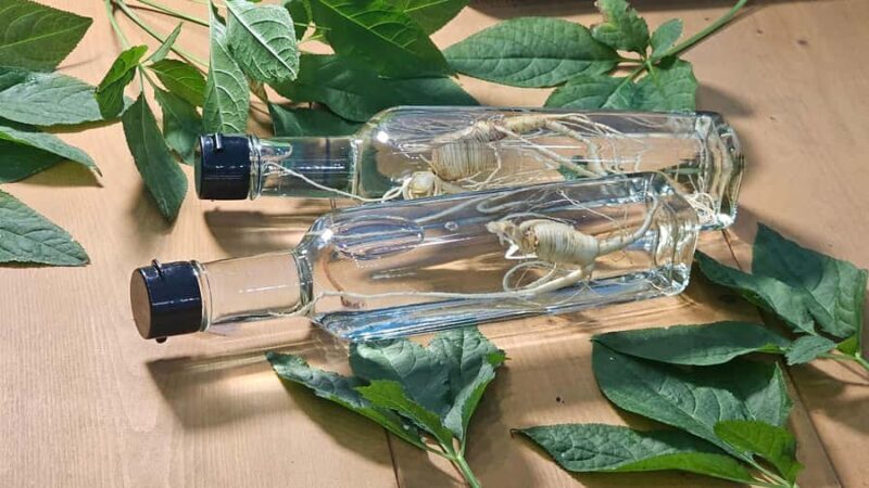 From Seoul: Make Your Own Chilli Paste & Ginseng Liquor Tour - An Introduction to the Experience