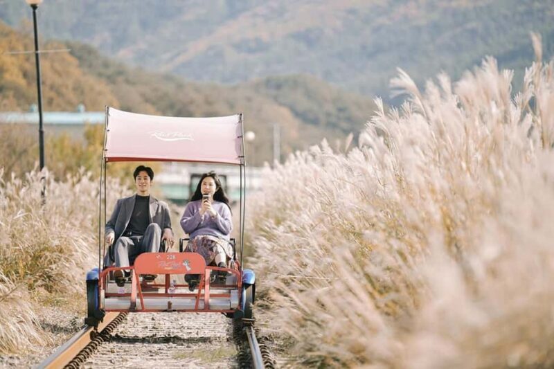 From Seoul: Nami Island, Korean Garden & Rail Bike Day Trip - Introduction: Why This Tour Could Be Your Perfect Day Out